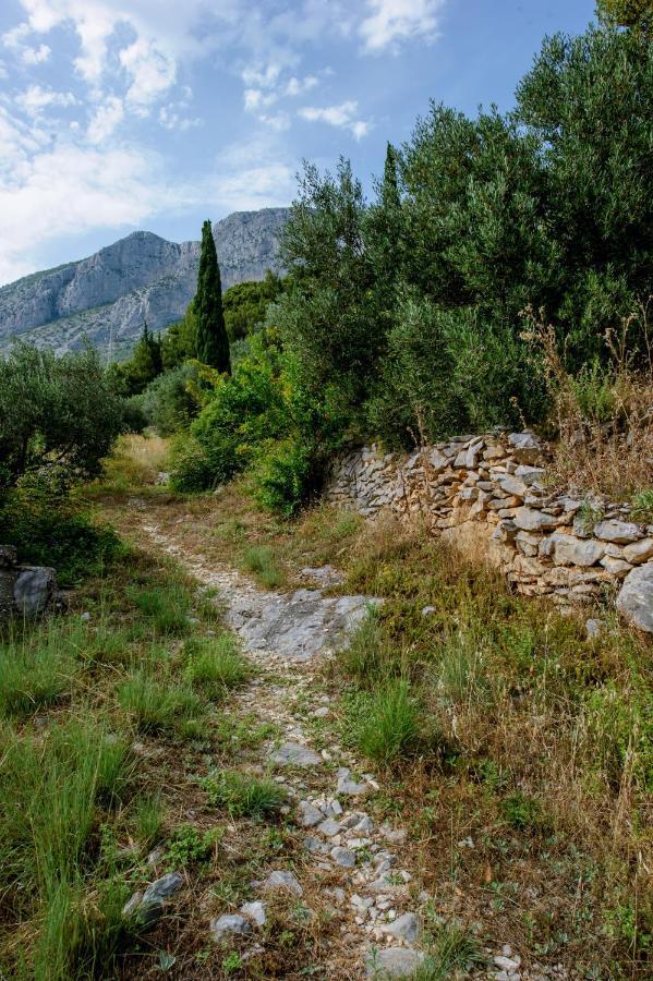 Pension Maric Rooms Brist Bagian luar foto